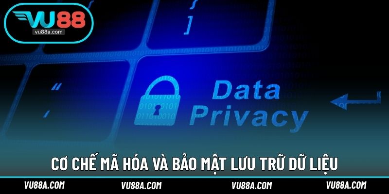 Cơ chế mã hóa và bảo mật lưu trữ dữ liệu